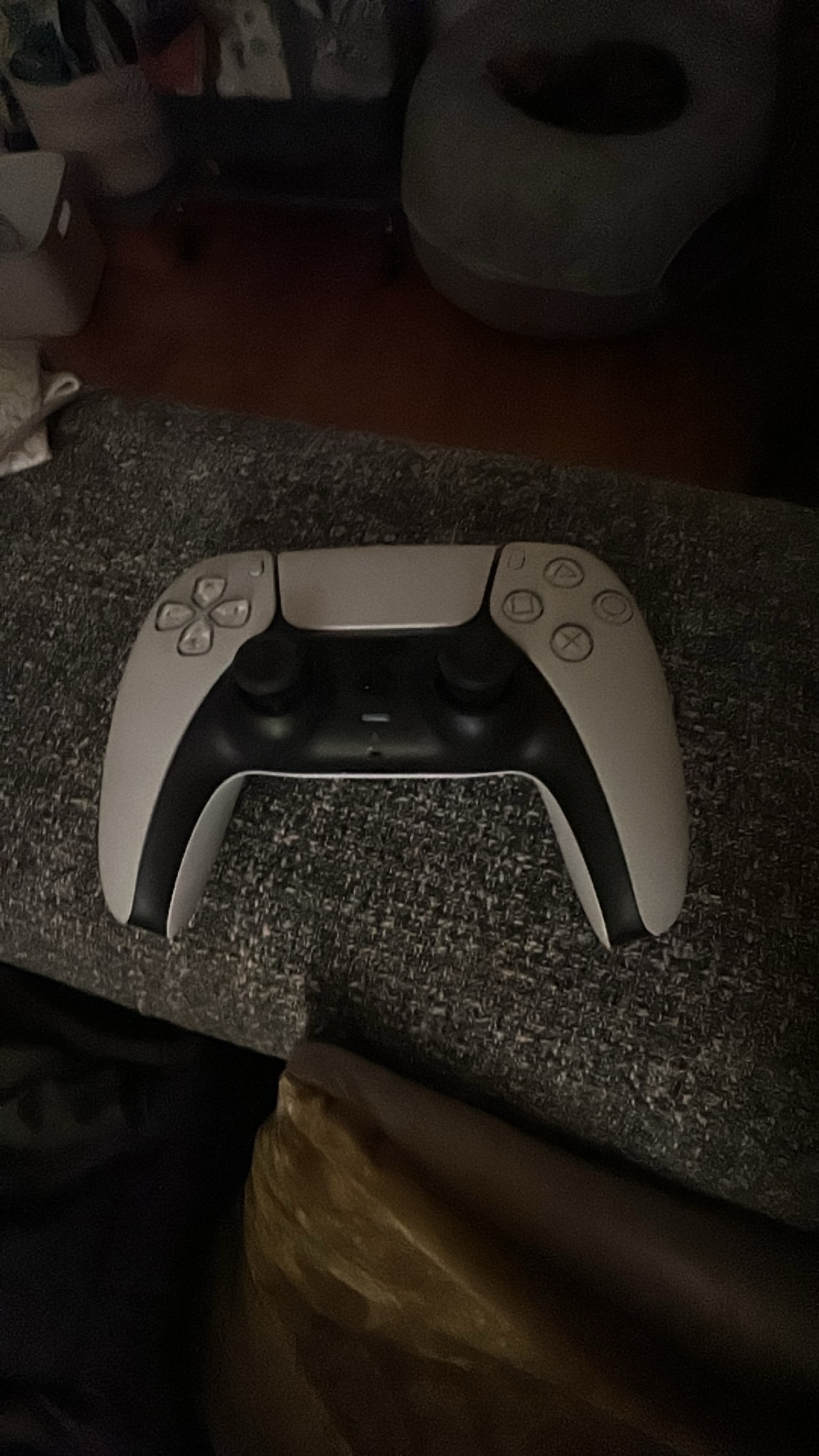 PlayStation 5 DualSense Wireless Controller
