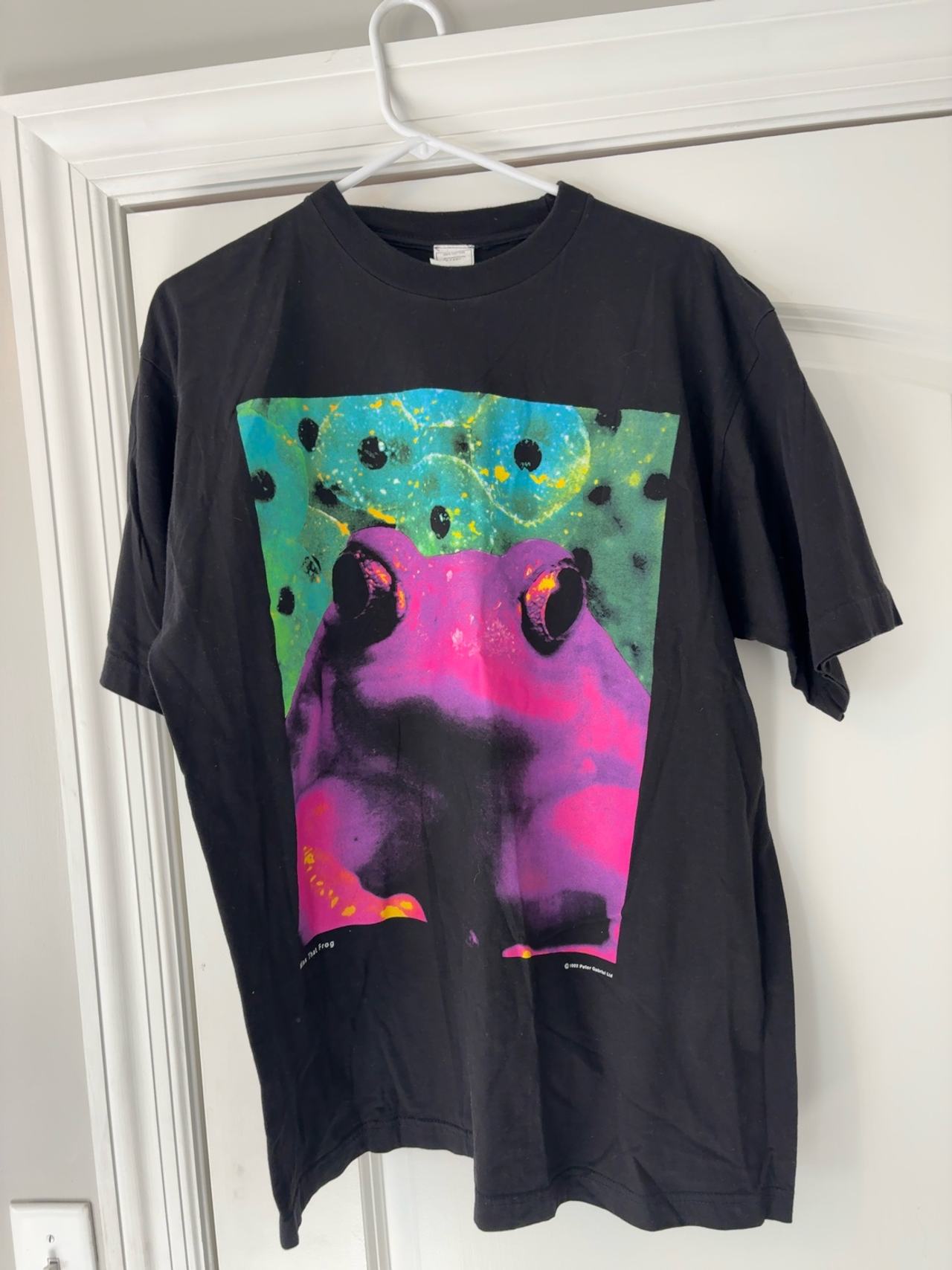 Peter Gabriel Kiss That Frog T-Shirt Black