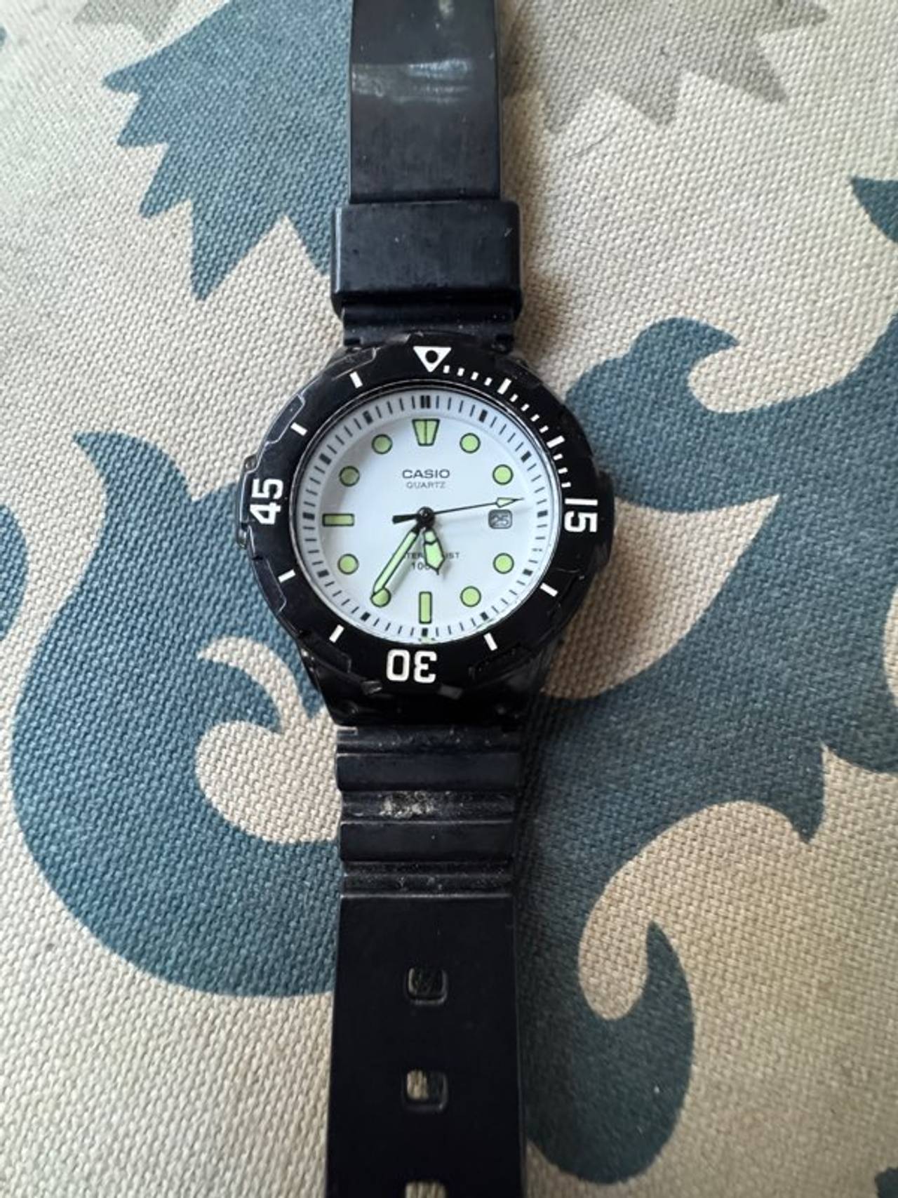 Casio Men's Quartz Dive Watch