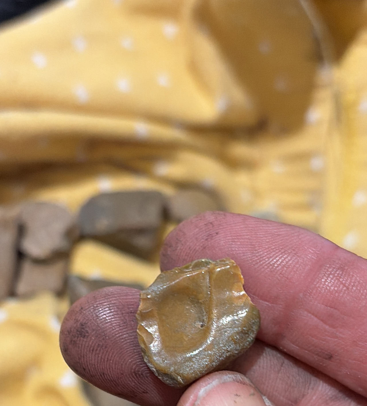 Native American Chert Thumb Scraper