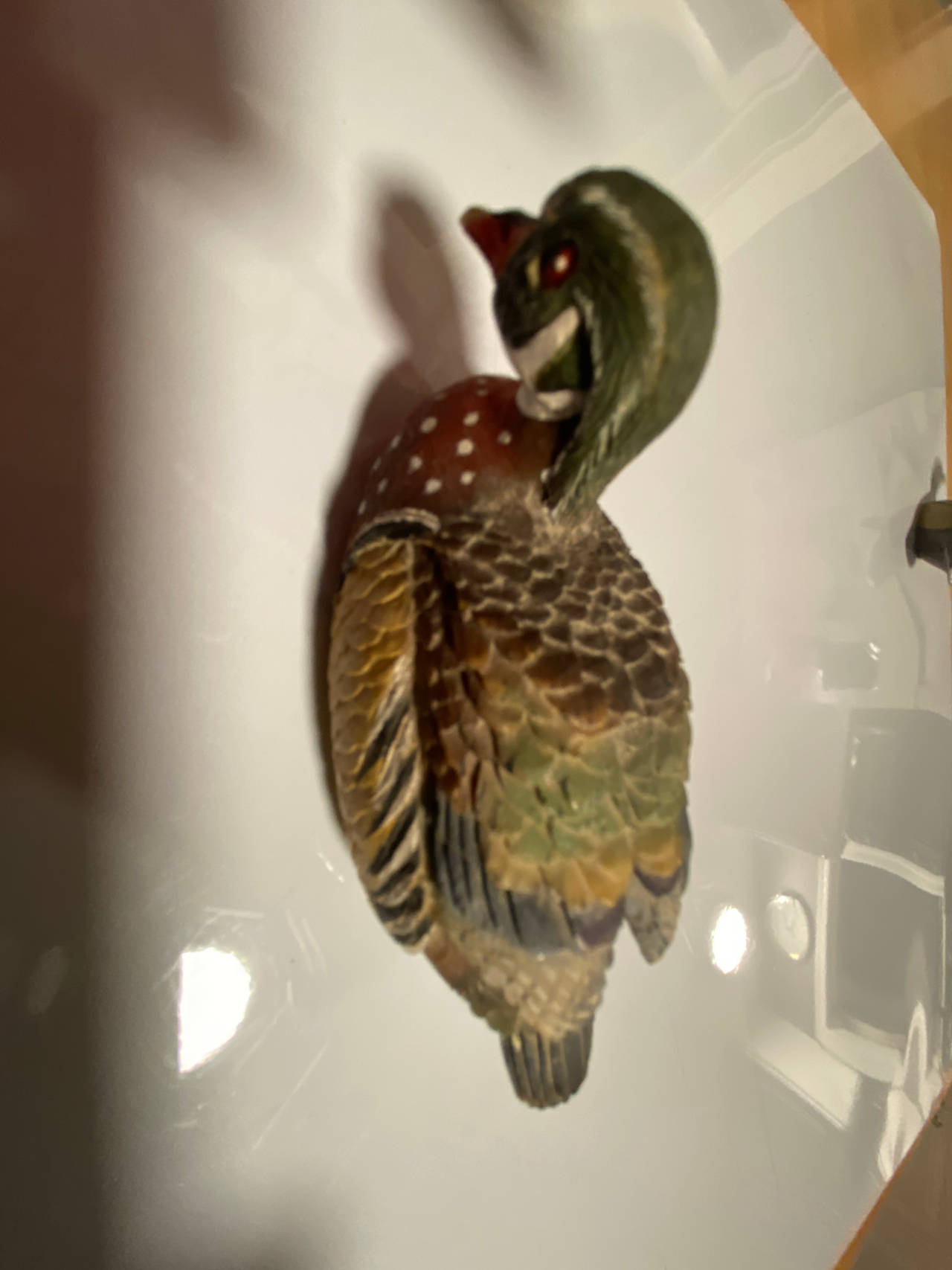 Wood Duck Wall Plaque
