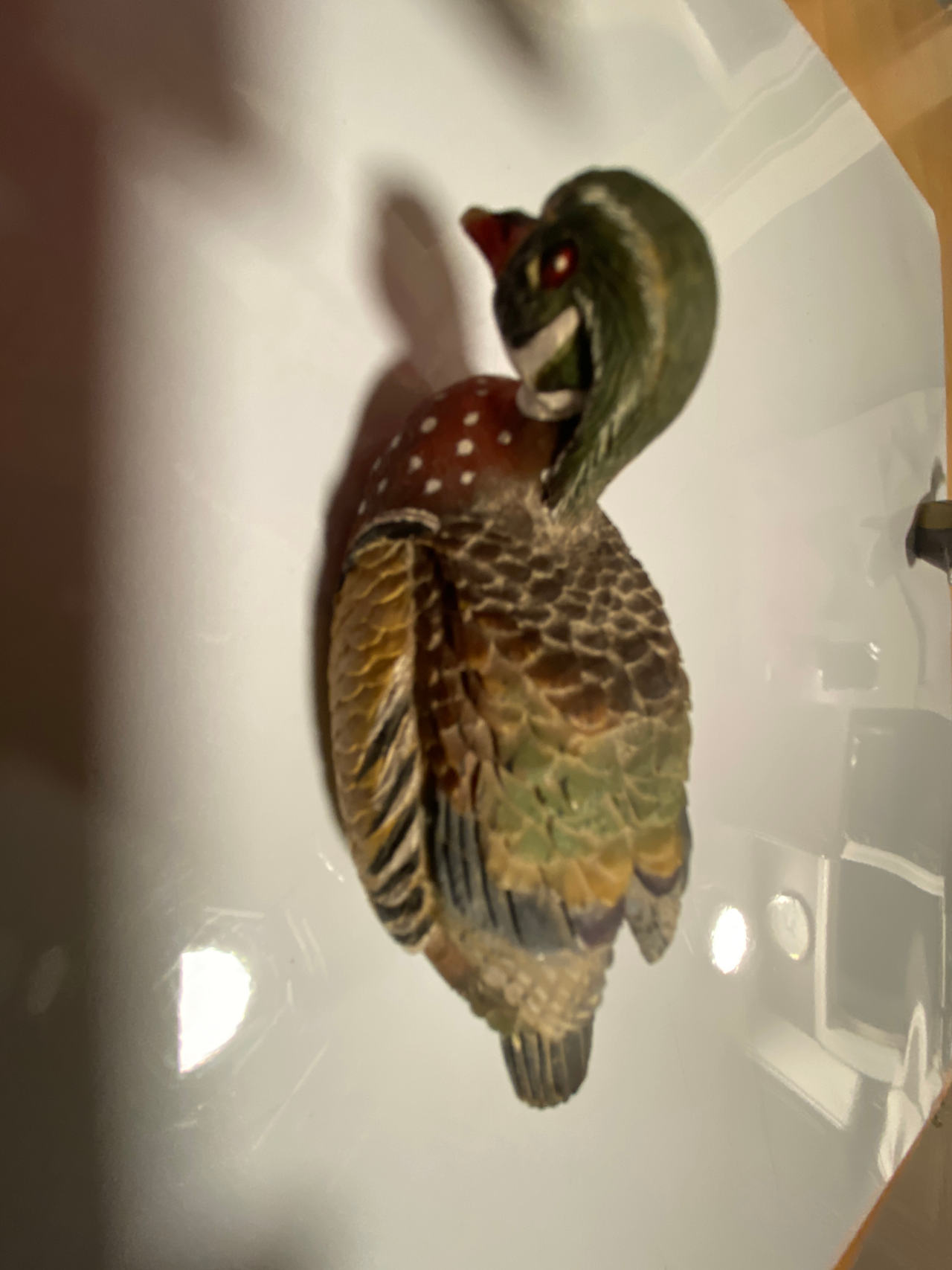 Wood Duck Wall Plaque