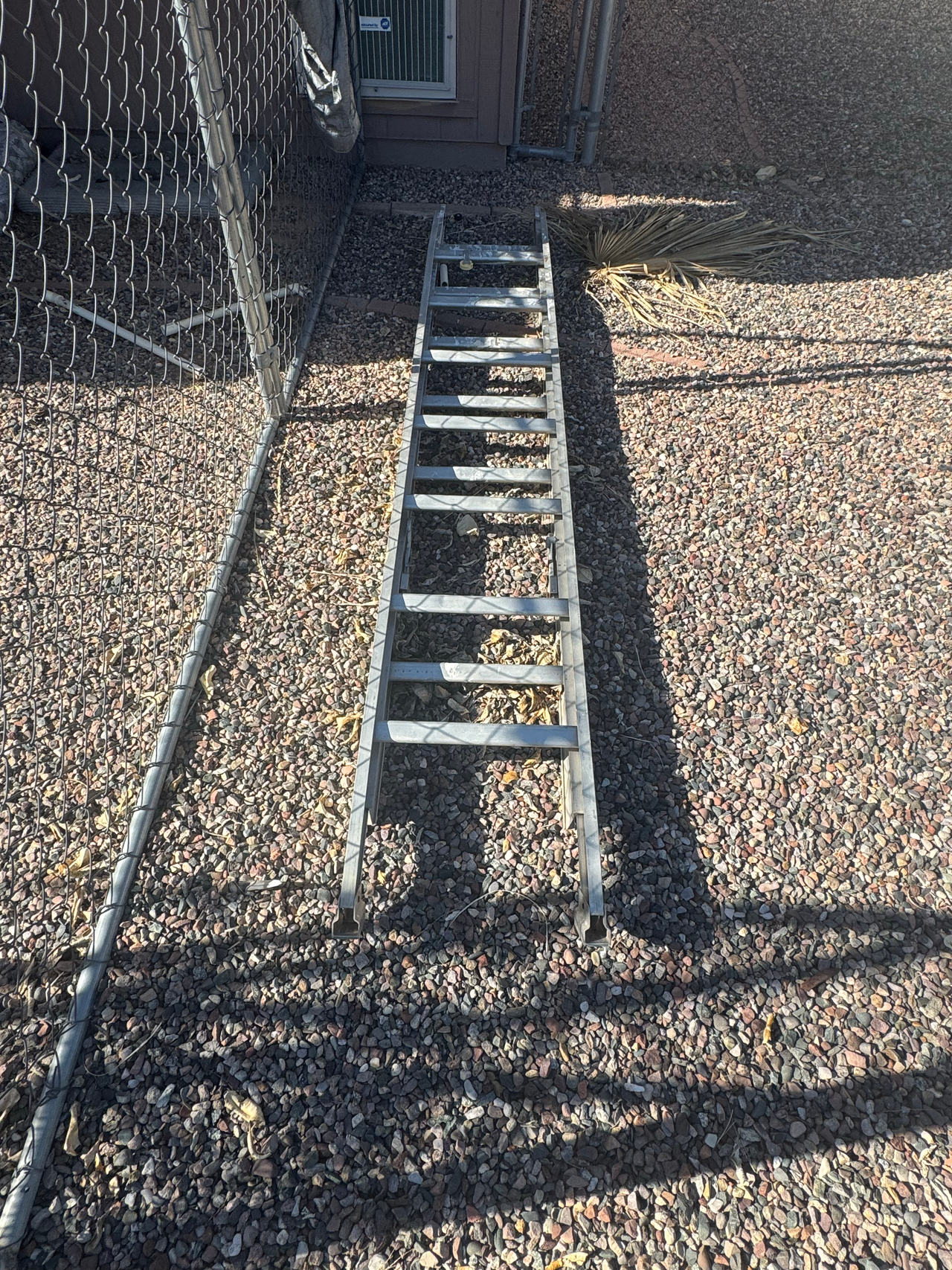 Extension Ladder-20'