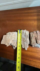 Petrified Wood Fossil Display Piece - Image 6