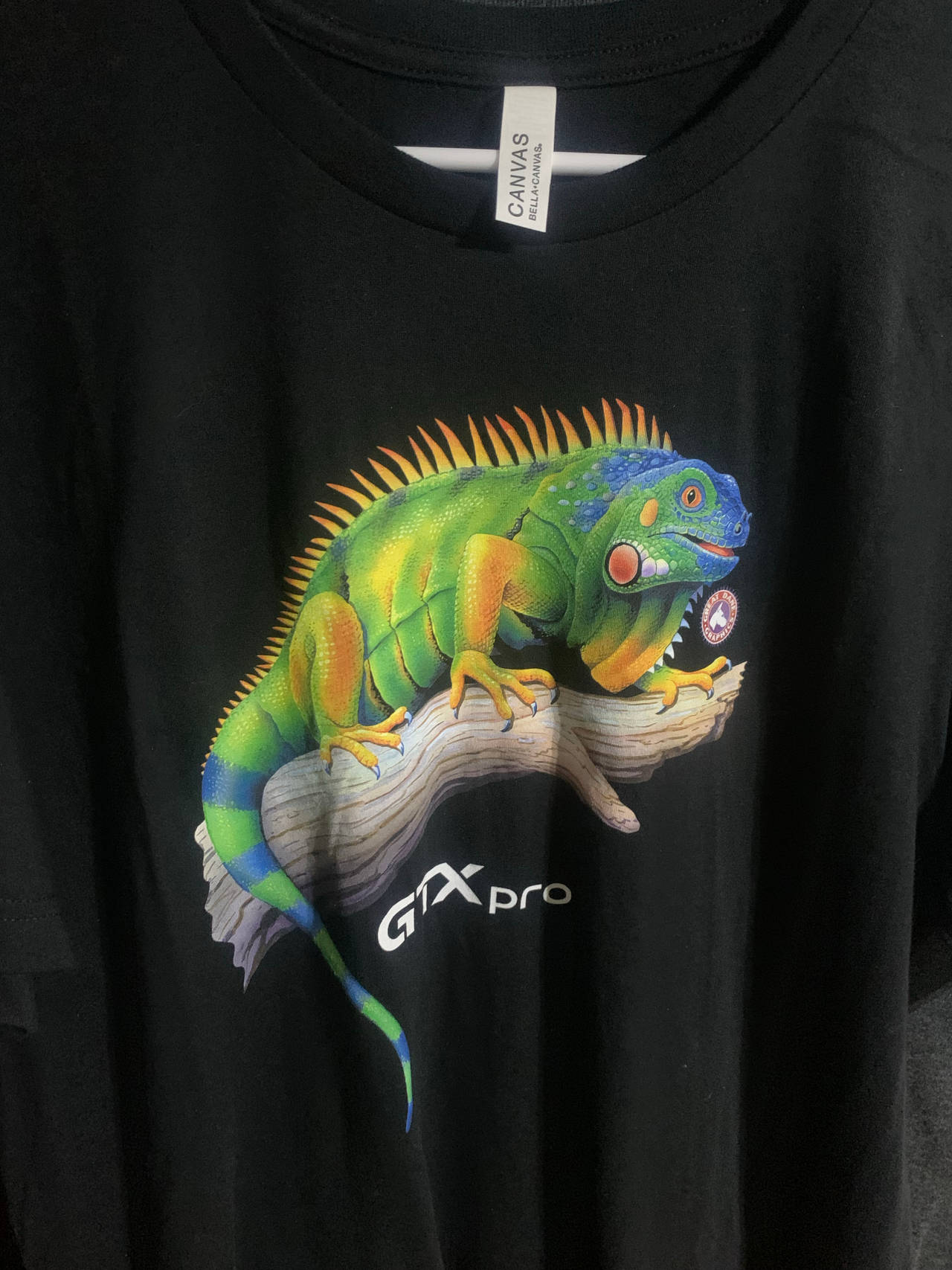 Bella+Canvas Iguana Graphic T-Shirt