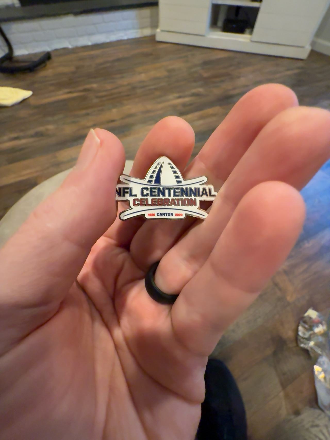 NFL Pro Football Hall of Fame Pin