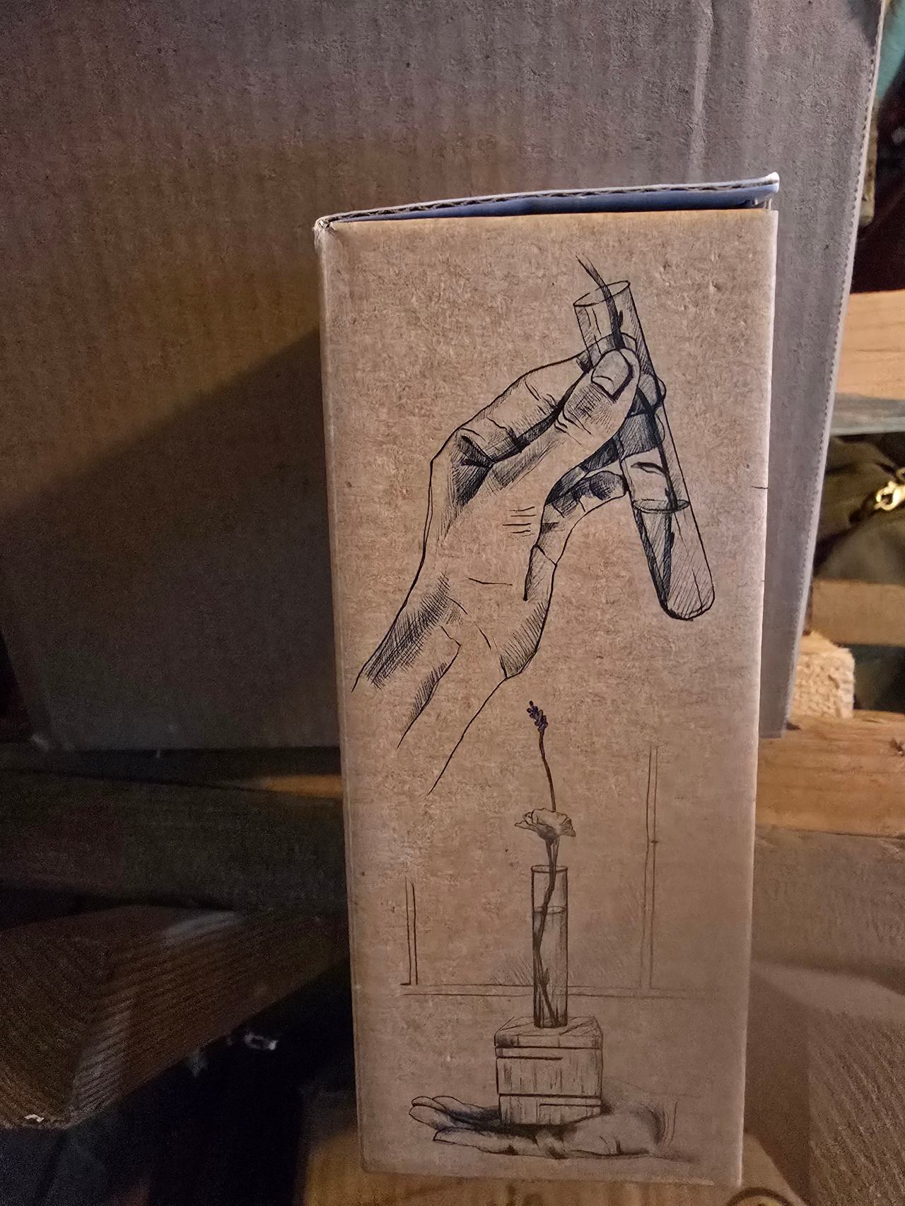 Test Tube Propagation Vase