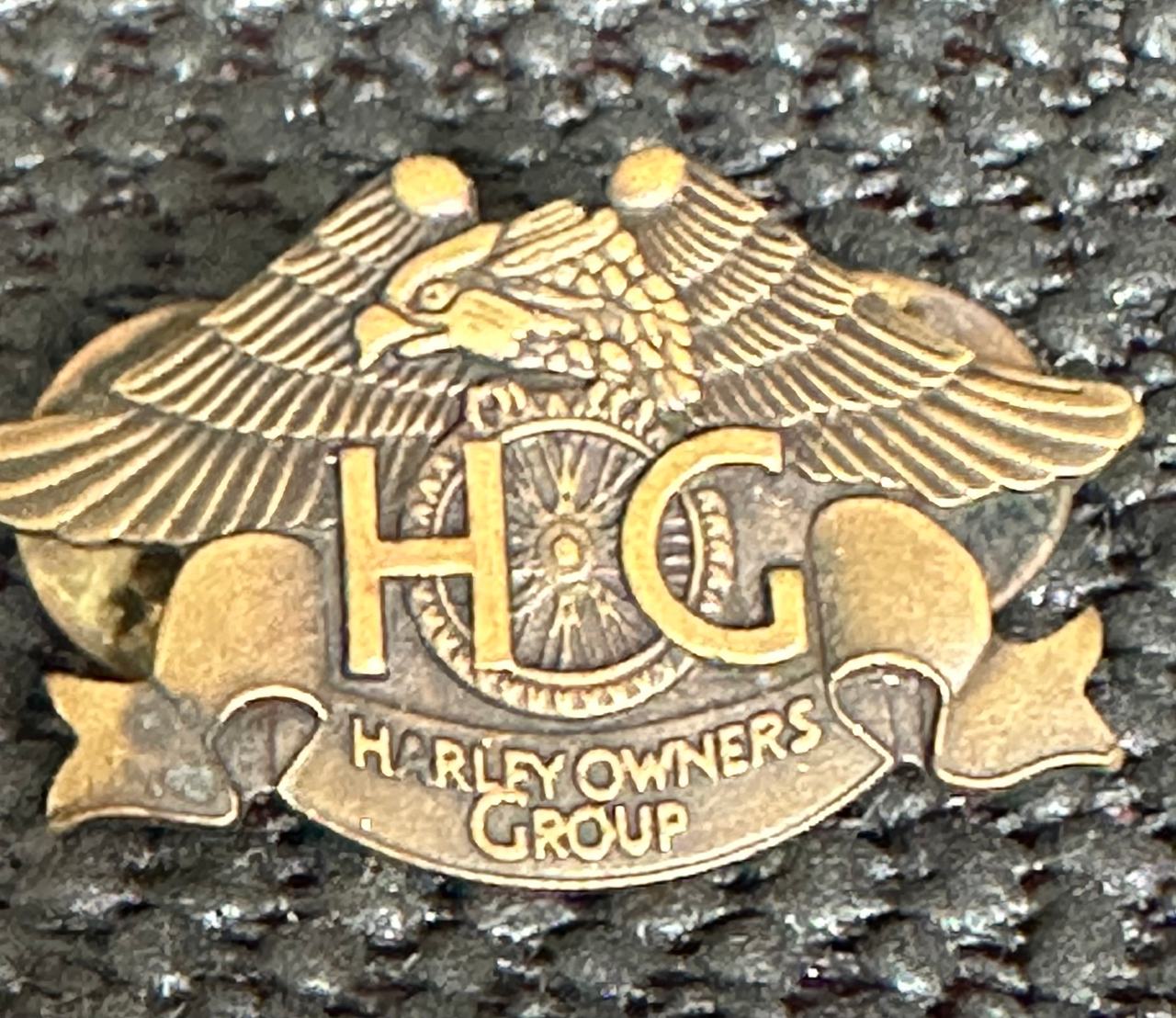 Harley Owners Group Pin