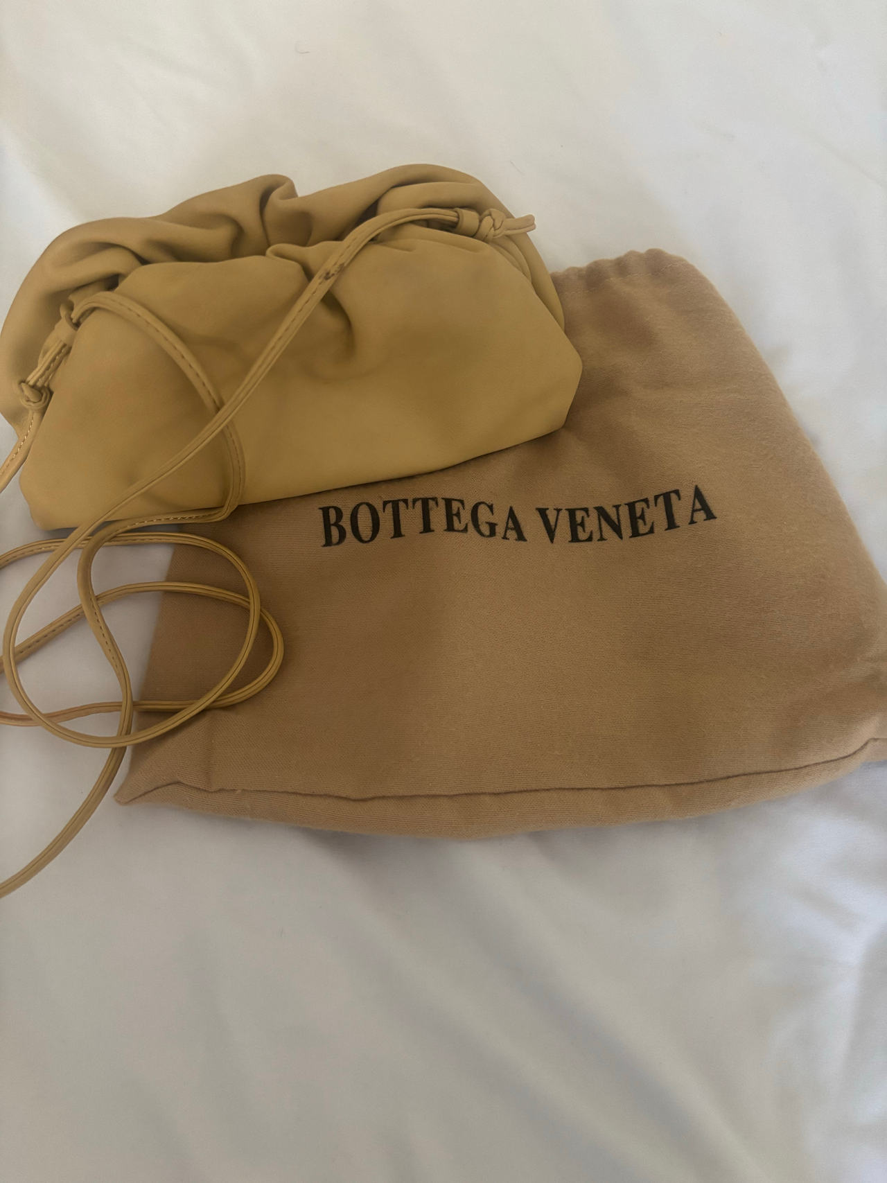 Bottega Veneta The Pouch