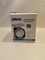 Pelouze Mechanical Parcel Scale - Image 2