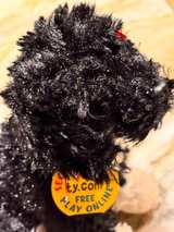 TY Beanie Baby Bo Portuguese Water Dog 6-inch Plush - Image 3