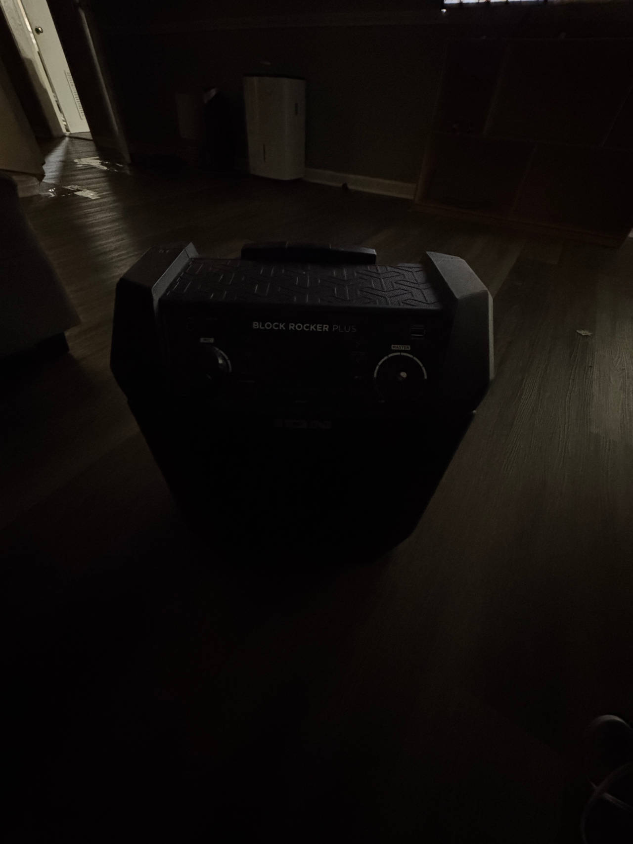 ION Block Rocker Plus