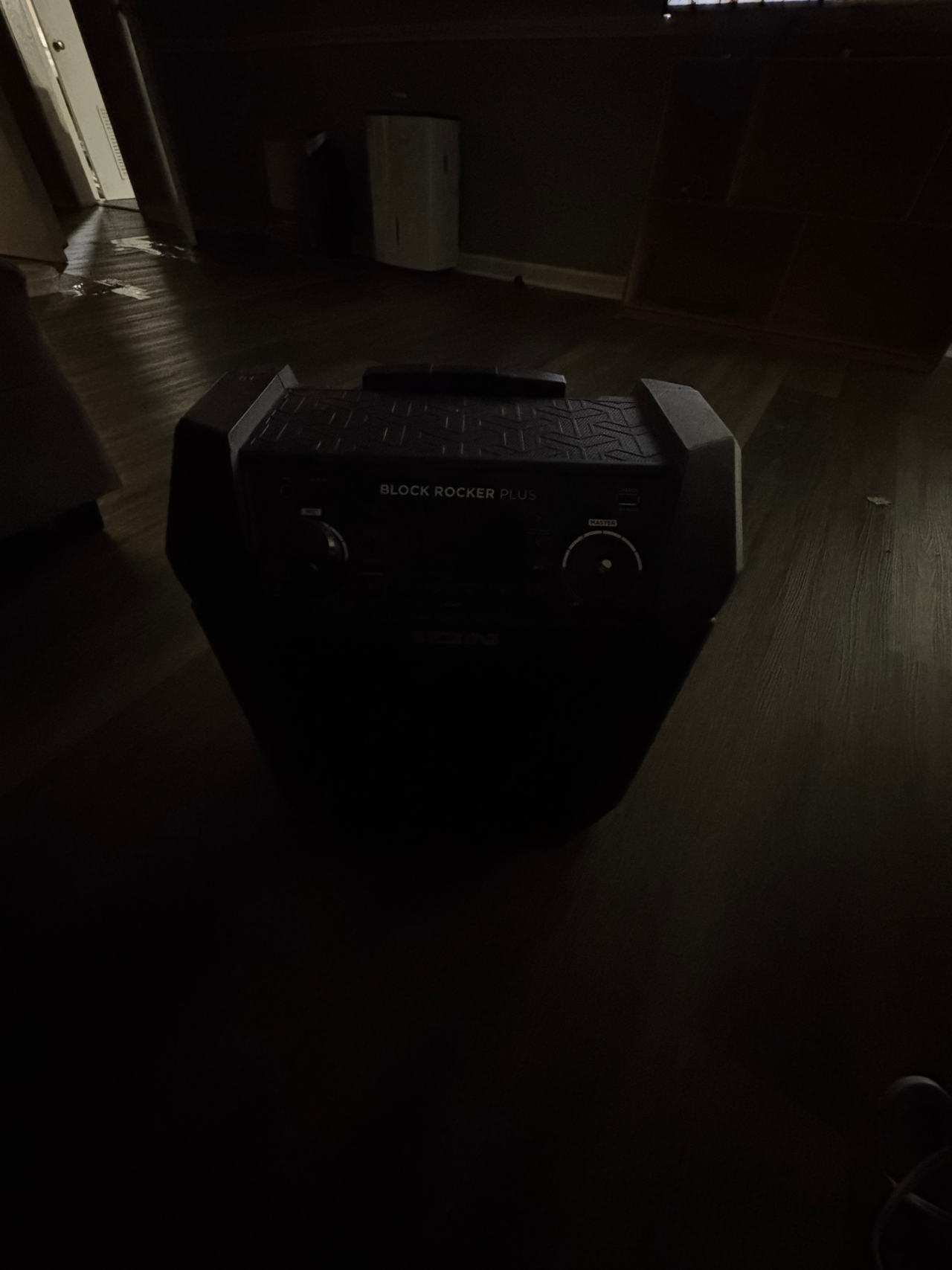 ION Block Rocker Plus