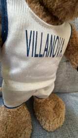 Villanova Wildcats Will D. Cat Mascot Plush - Image 3