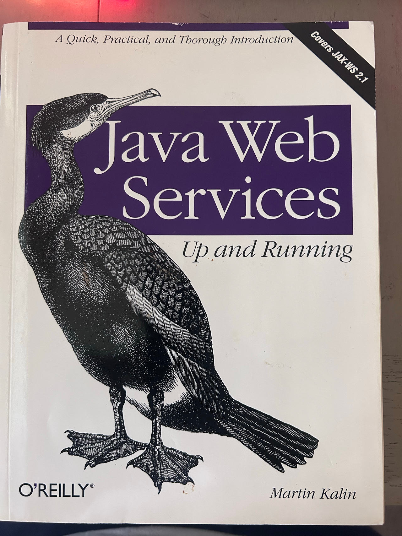 Java Web Services: Up and Running by Martin Kalin USED