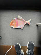 Fish Shaped Ceramic Plate - Image 1