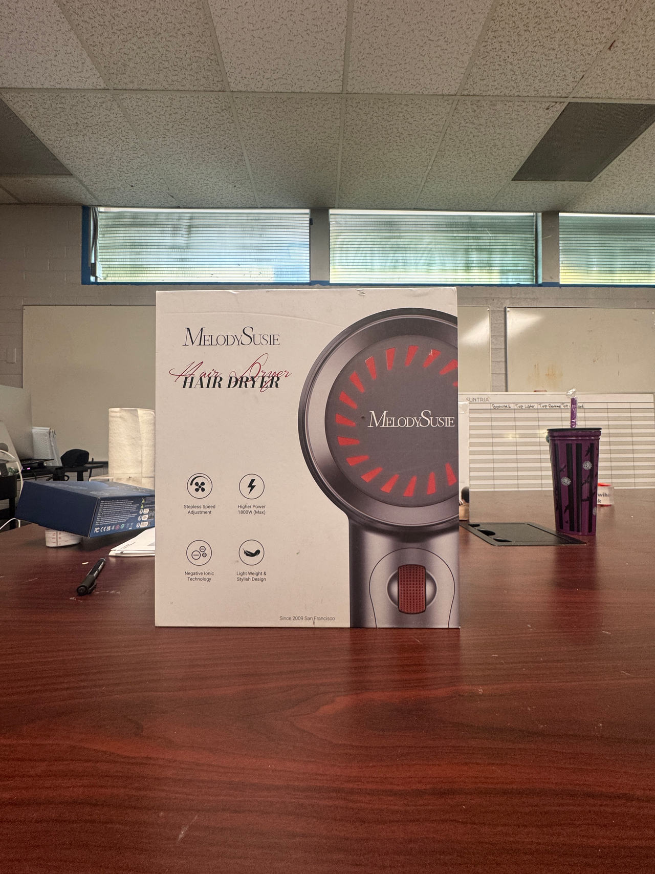 MelodySusie Ionic Hair Dryer