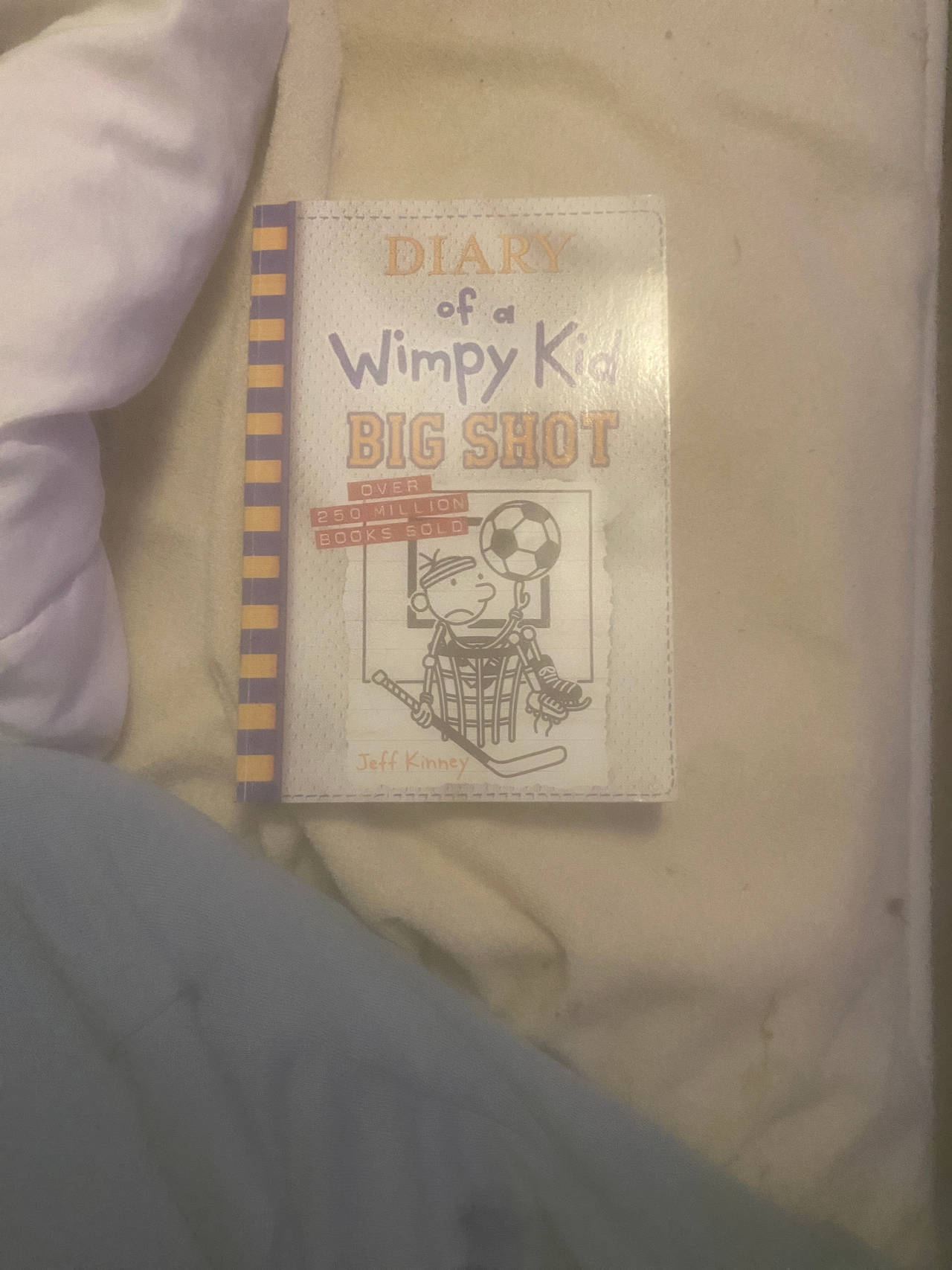 Diary of a Wimpy Kid: Big Shot
