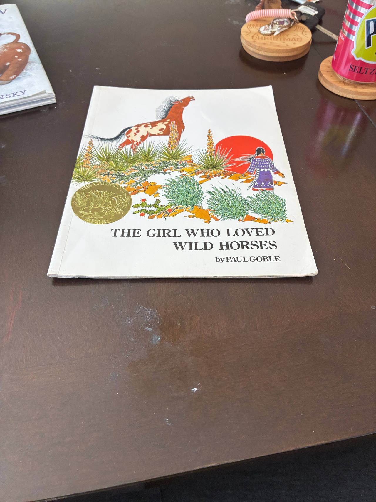 The Girl Who Loved Wild Horses by Paul Goble