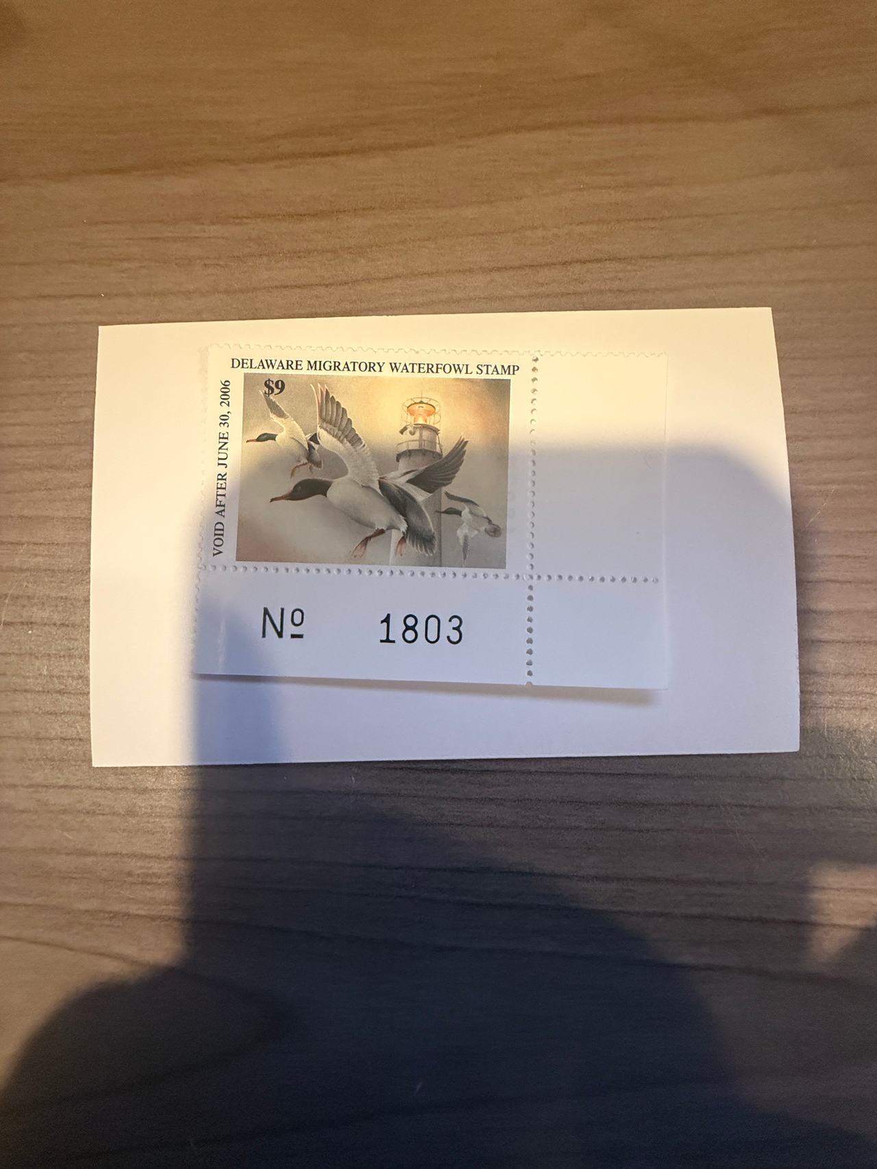 2005-2006 Delaware Migratory Waterfowl Stamp $9 Plate Number Single