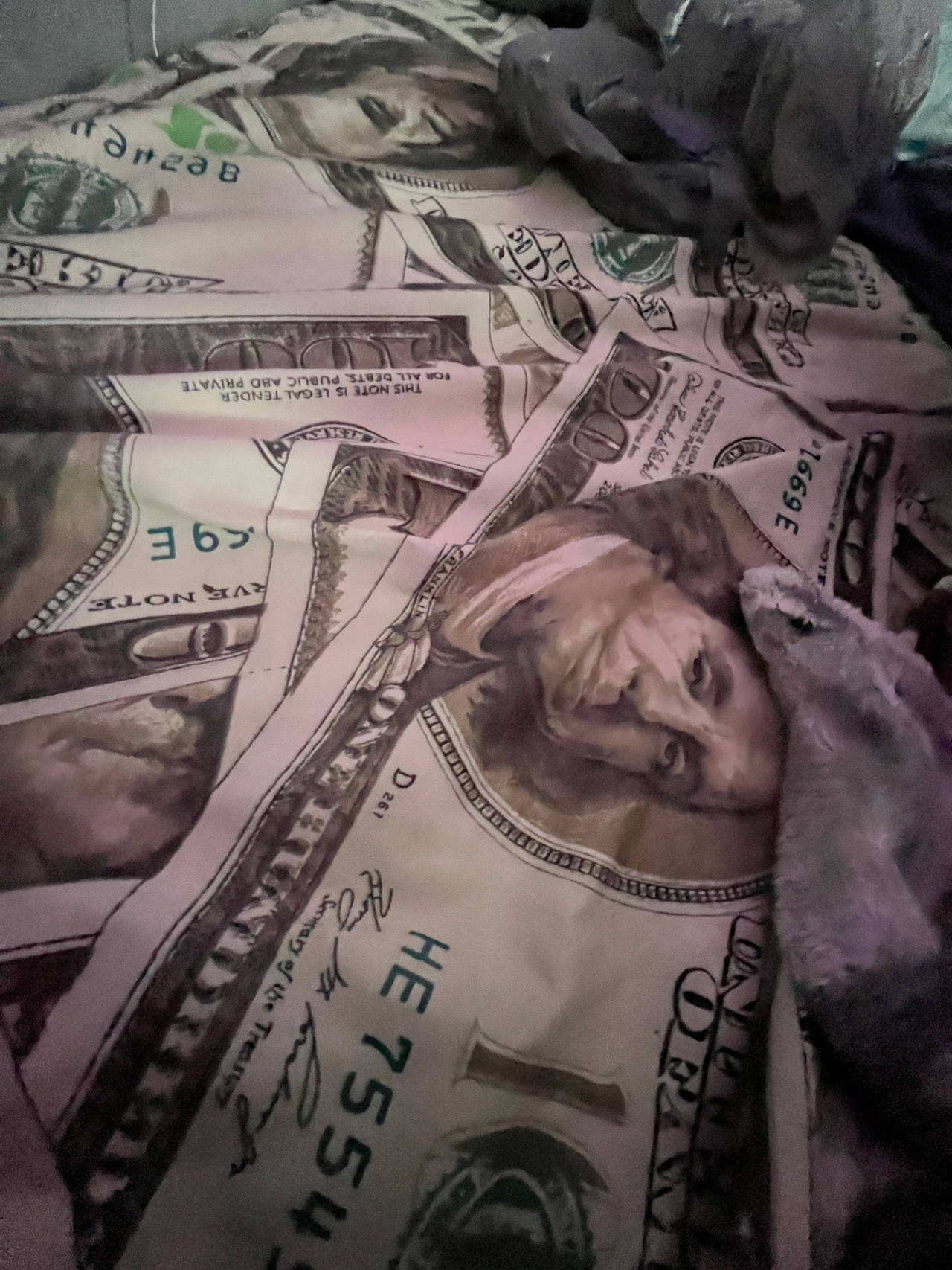 Money Print Bedding Set