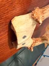Vintage Deer Antlers Wall Mount on Wood Plaque - Image 2