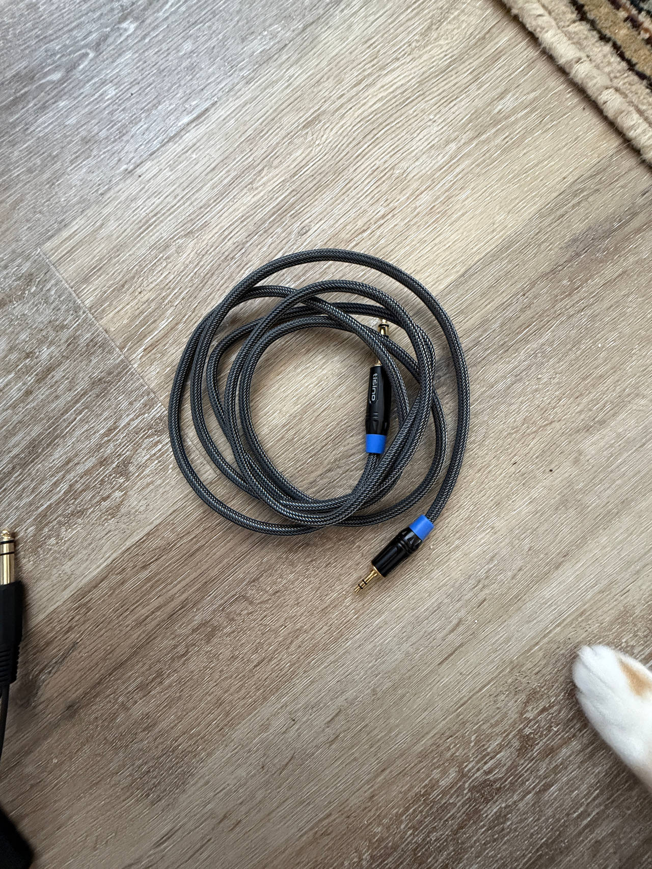 Tisino 3.5mm to 1/4" Adapter Cable (6ft)