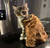 Monogram Faux Fur Pet Jacket (Replica) - Image 5