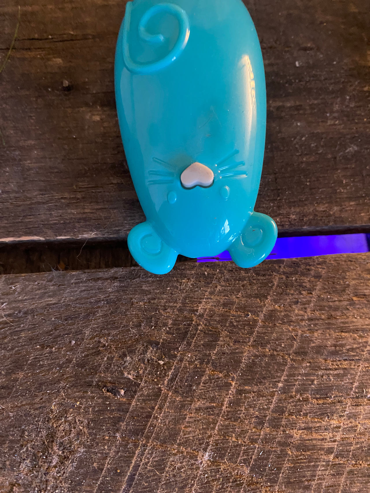 HEXBUG Nano Robotic Cat Toy