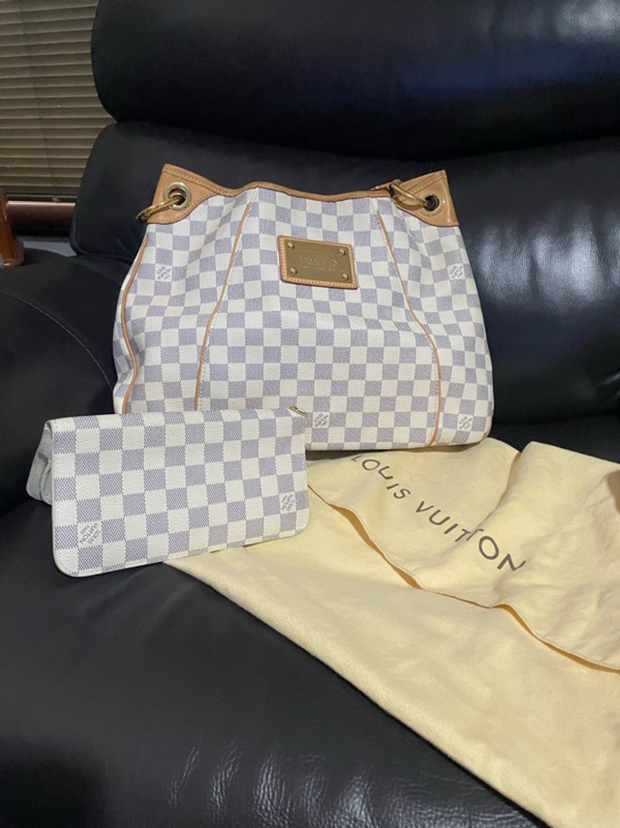 Louis Vuitton Bag and Matching Purse Set