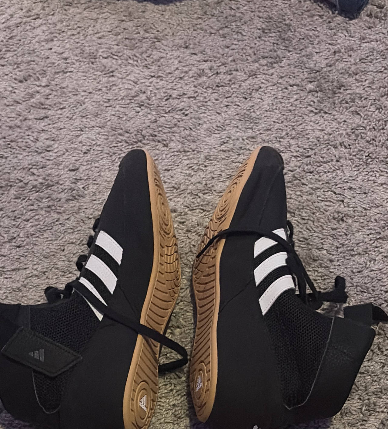adidas HVC Wrestling Shoes