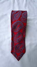 XMI Platinum Red Paisley Silk Tie - Image 2