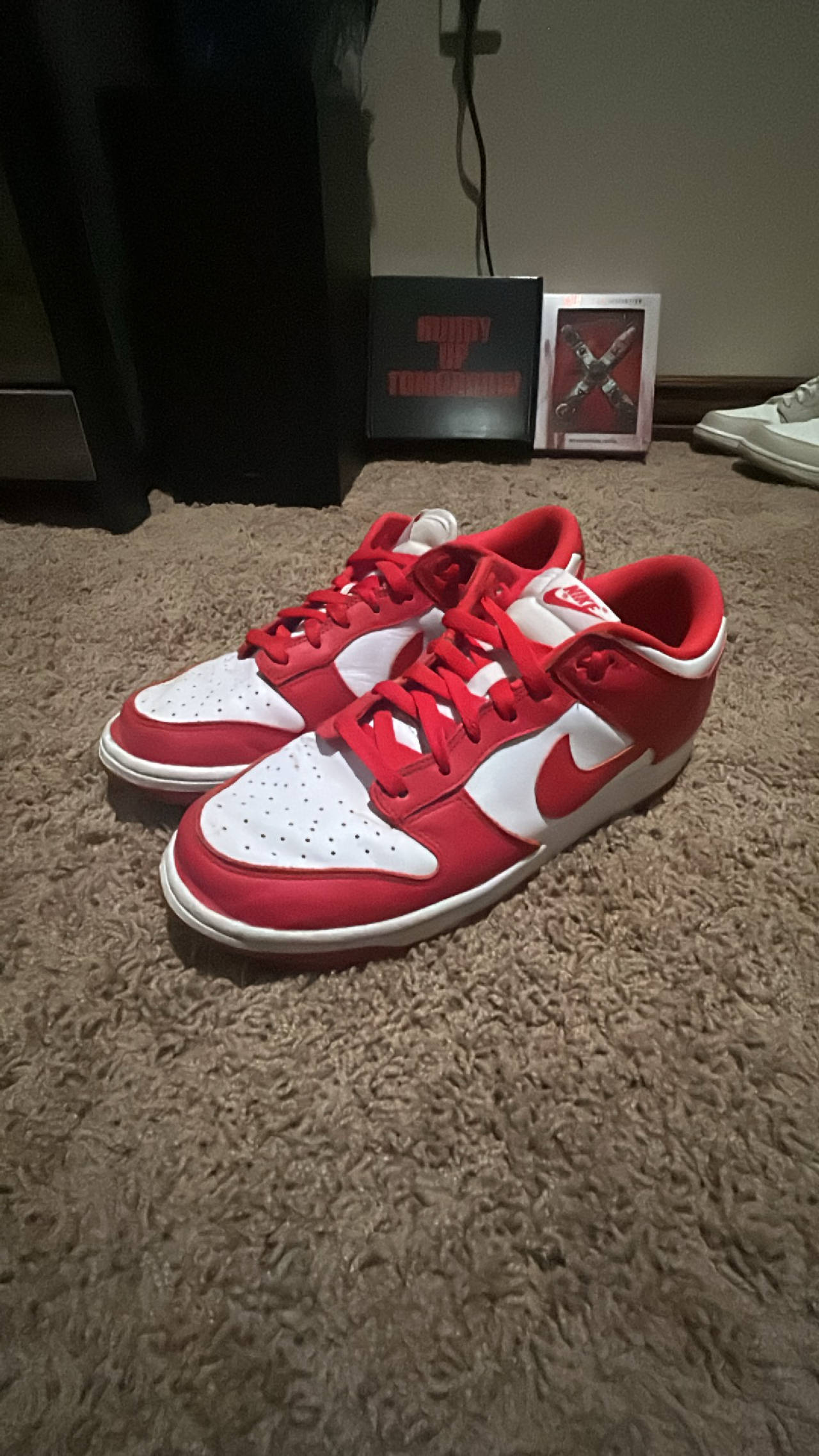 Nike Dunk Low