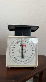 Hanson Model 40 Utility Scale - Image 1