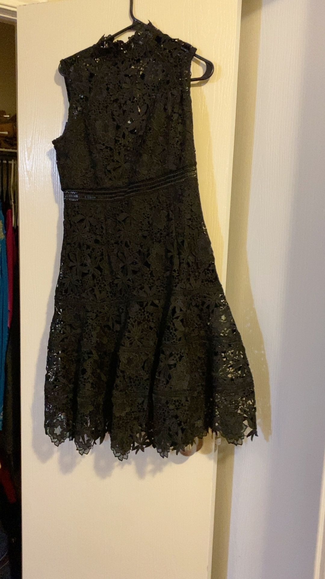 Bardot Elise Lace Cocktail Dress Black