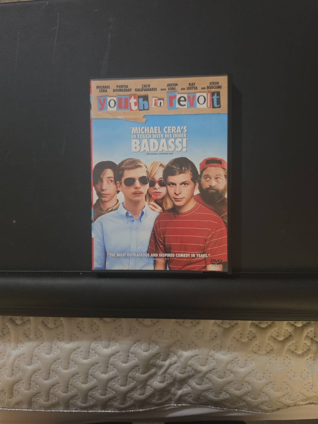 Youth in Revolt (DVD, 2010)