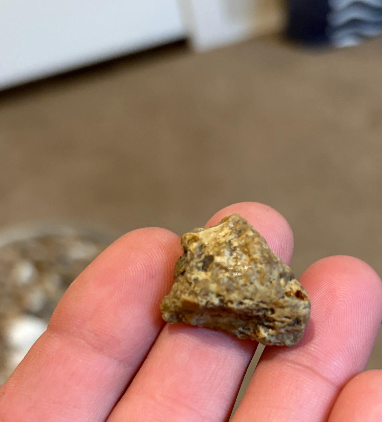 Raw Amber Stone Specimen
