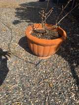 Terracotta Planter Pot - Image 3