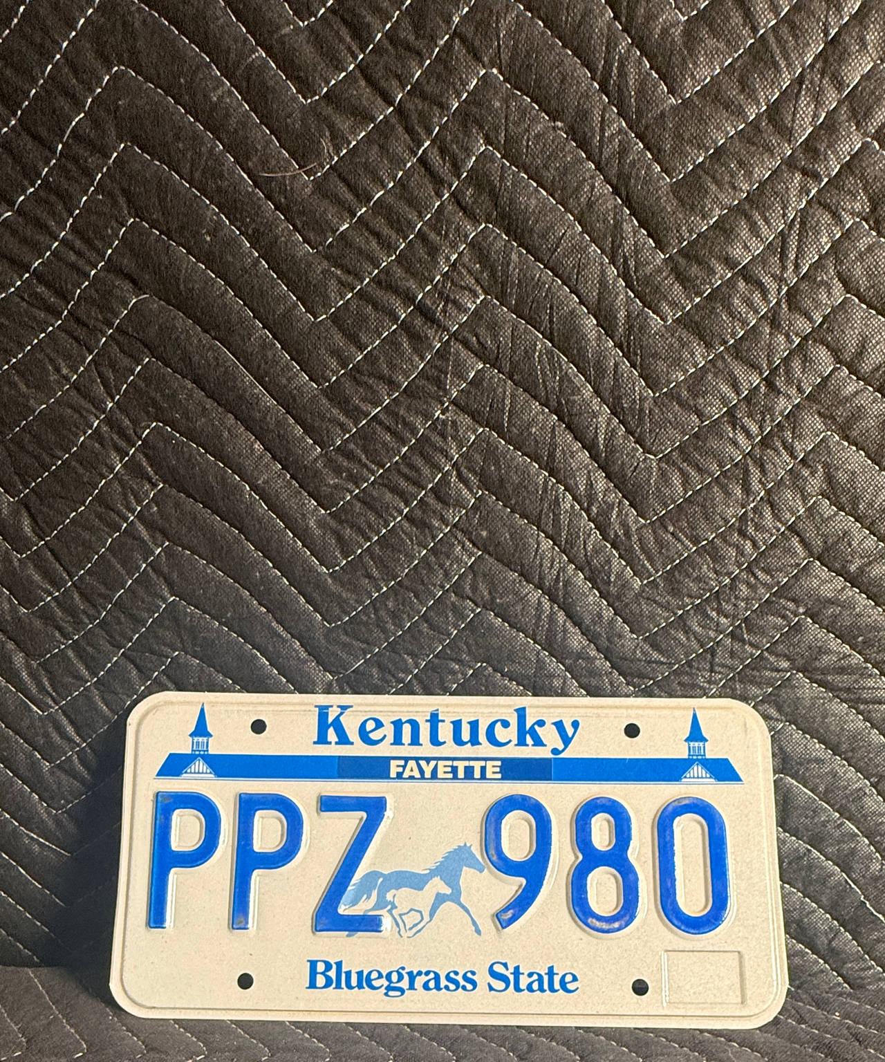 Kentucky License Plate PPZ 980