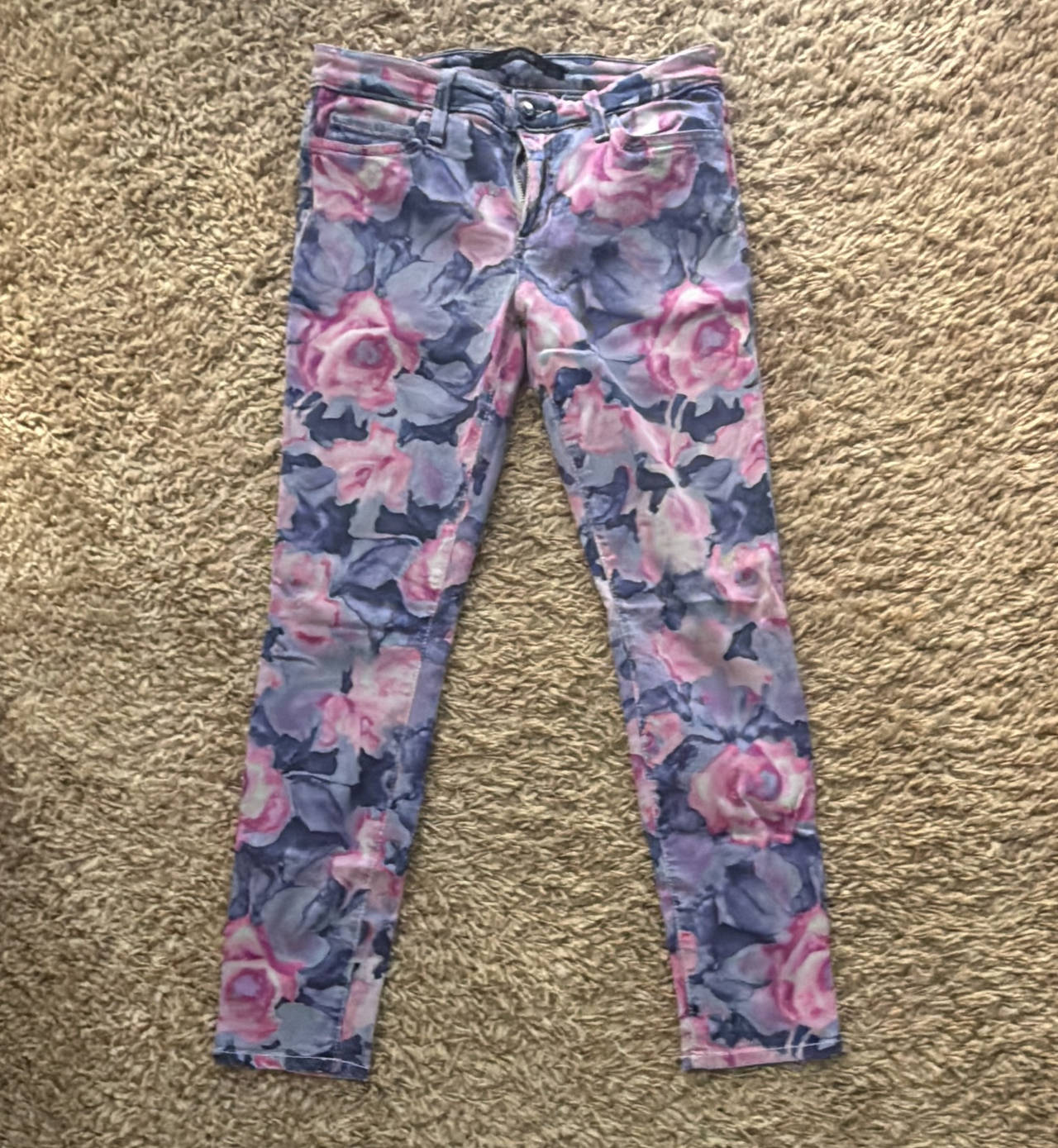 Joe's Jeans Floral Print Skinny Jeans