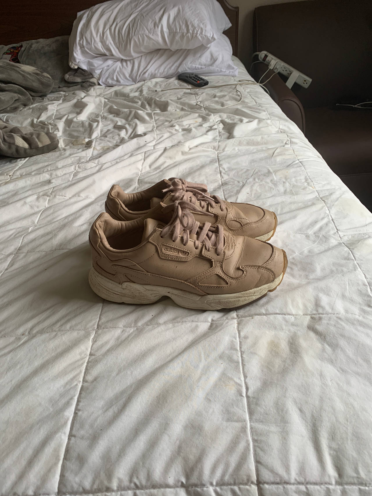 Adidas Falcon