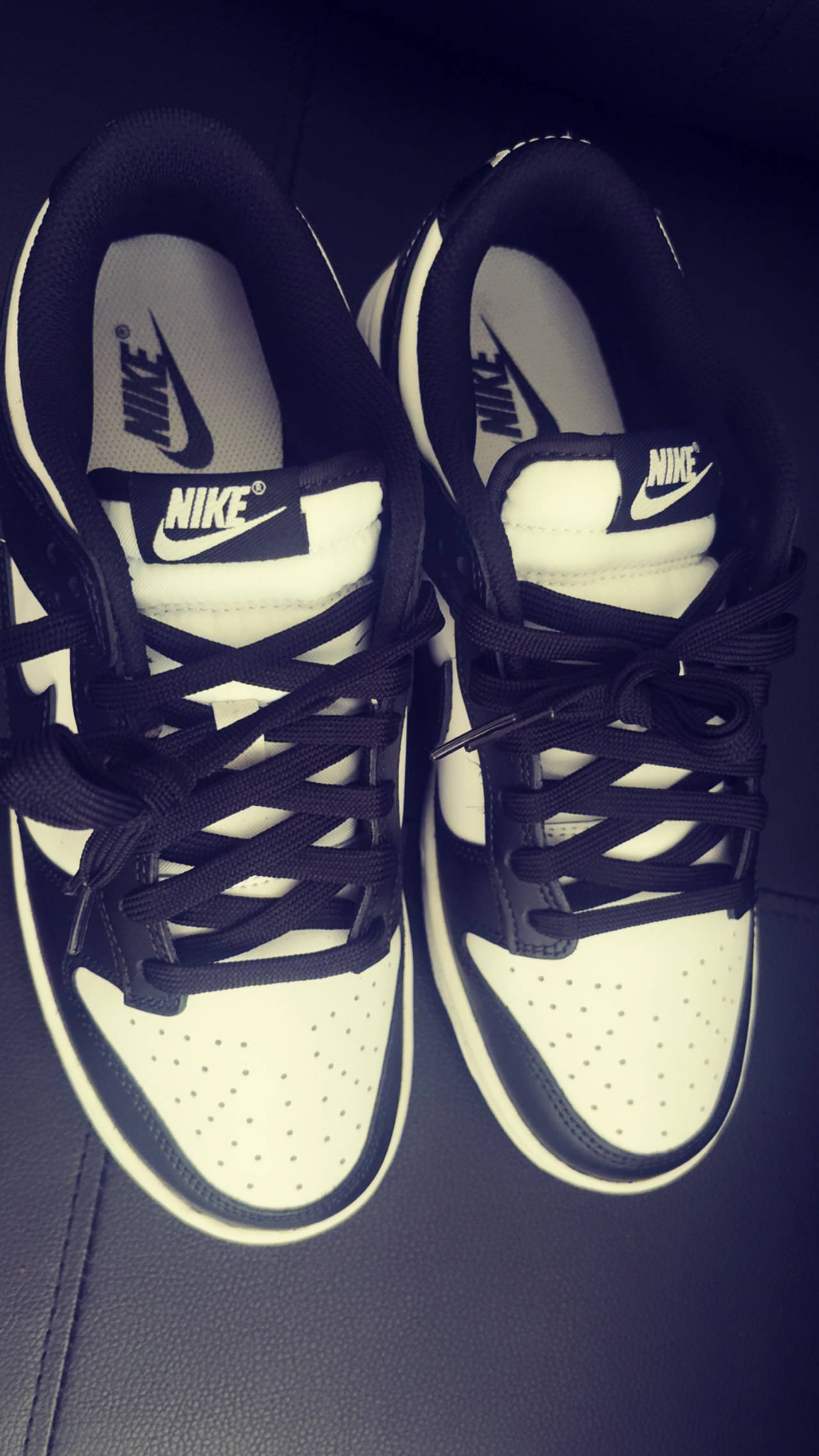 Nike Dunk Low Retro White Black (Panda)