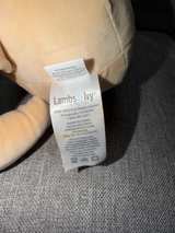 Disney Winnie the Pooh Plush Toy Lambs & Ivy - Image 3