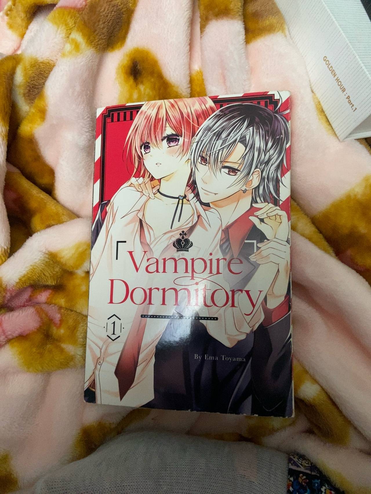 Vampire Dormitory Volume 1 Paperback