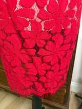 Stylestalker Alexander Lace Mini Dress Small - Image 3