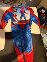 Marvel Spider-Man Muscle Chest Costume - Image 2