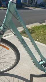 Giant Cypress W - Image 1