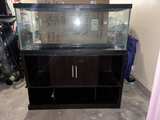 Aquarium with Stand - Image 4