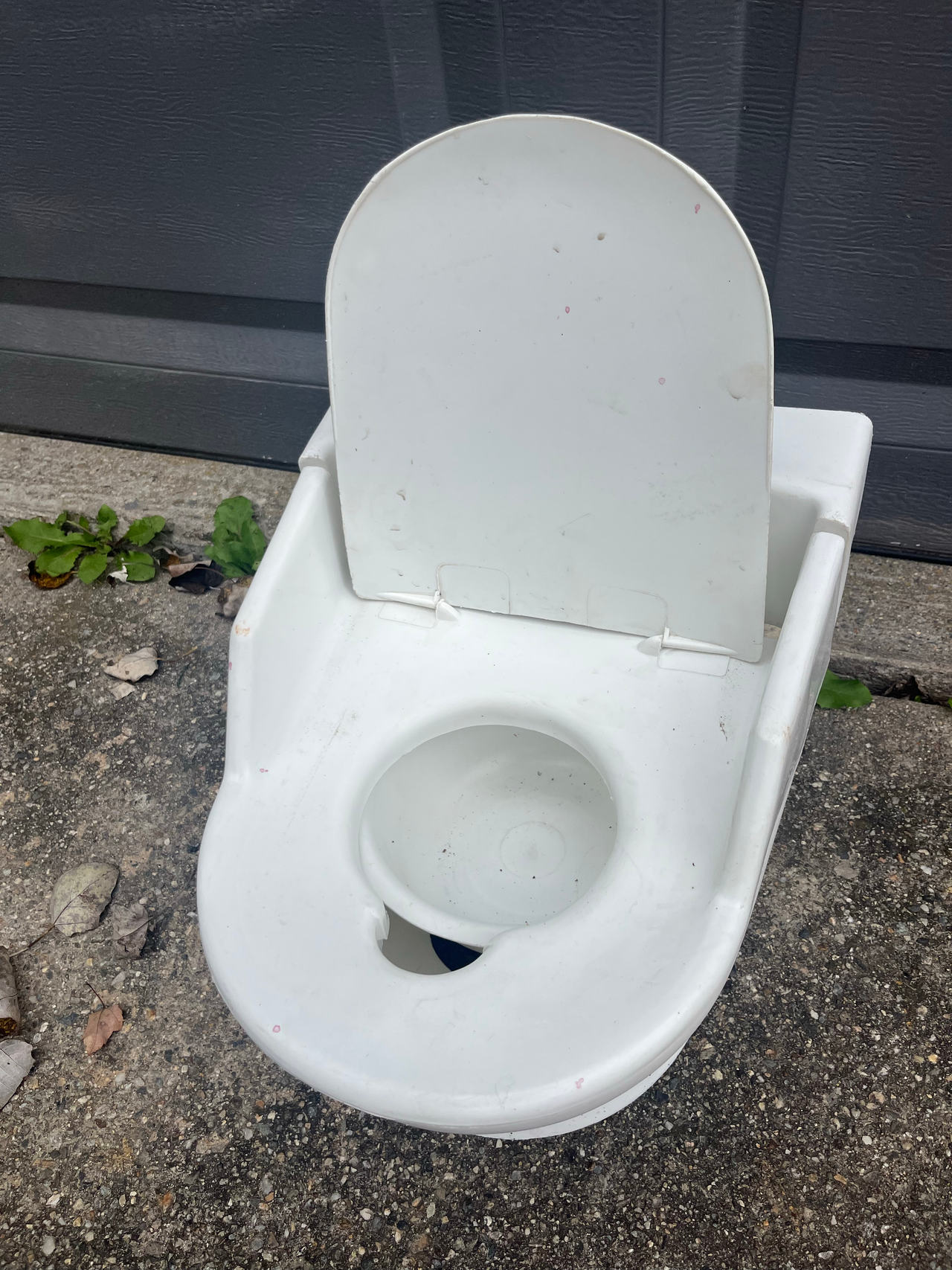 Plastic Potty Training Seat