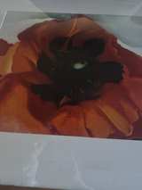 Georgia O'Keeffe Poppy Framed Print - Image 6